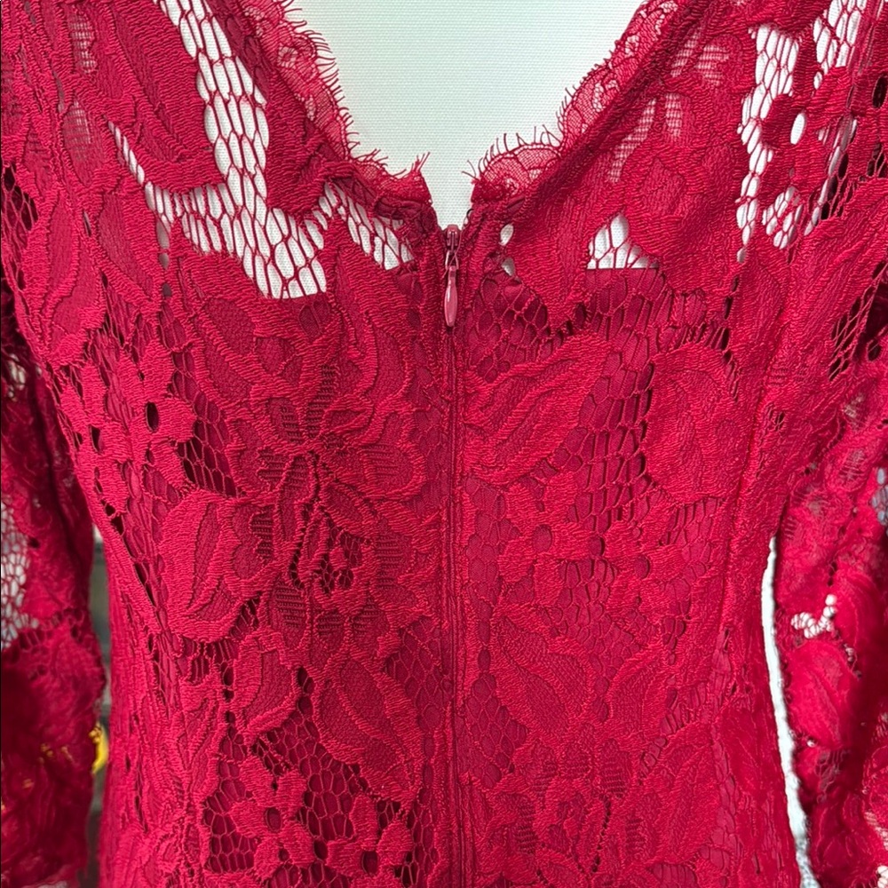 Adrianna Papell romantic Long Sleeve Dress in Elegant Red - Picture 4 of 9
